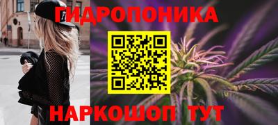 spice Мариинск