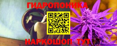 spice Мариинск
