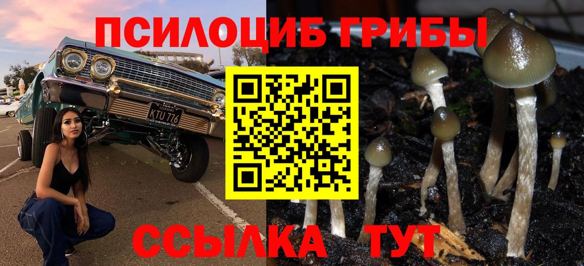 Псилоцибиновые грибы MAGIC MUSHROOMS  Вход с VPN  Вичуга 